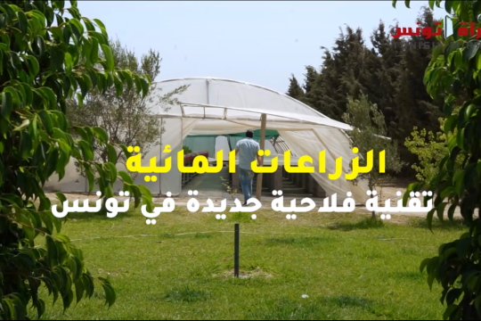 فيديو: الزراعات المائية في تونس.. تقنية فلاحية جديدة تستقطب الشباب
