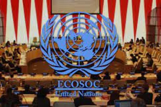 الأمم المتحدة.. انتخاب قطر ضمن أعضاء المجلس الاقتصادي والاجتماعي