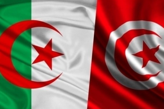 بعث منصة رقمية للتعاون العلمي بين ولايات تونسية وجزائرية