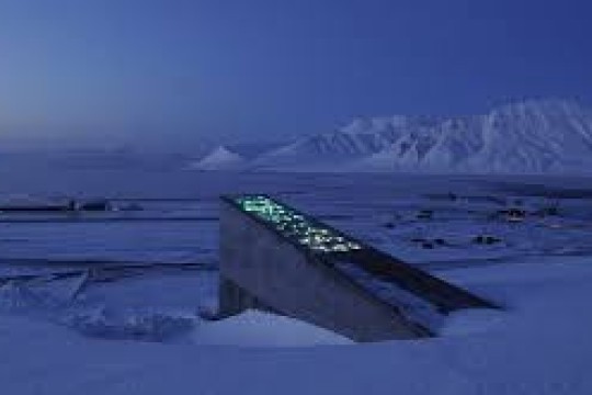 قبو سفالبارد بالنرويج :  مخزن البذور العالمي الذي يفكر في المستقبل