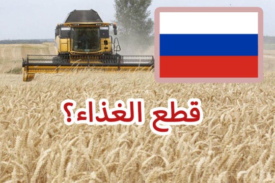 رويترز: روسيا ستصدر الغذاء للدول الصديقة فقط بالروبل أو بعملات تلك الدول