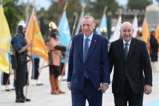 رئيس وزراء الجزائر: أبلغت أردوغان رغبة تبون في تطوير العلاقات