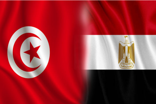 مجلة بريطانية: تونس ومصر تواجهان ديونا ضخمة ونقص السلع يثير القلق