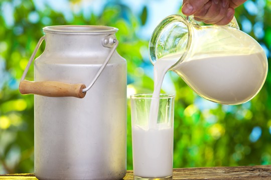هل يتم الترفيع في أسعار الحليب؟