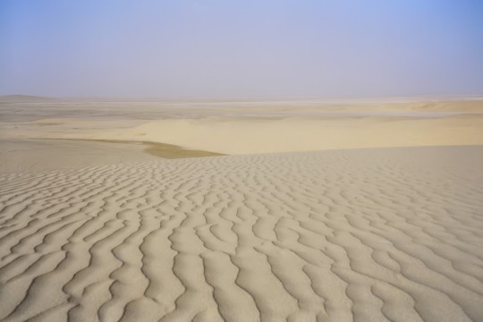 عمرها أكثر من 3600 سنة .. اكتشاف واحة "المخفية" في صحراء قطر