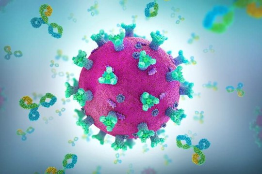 ماهي السلالة الجديدة من فيروس كورونا؟