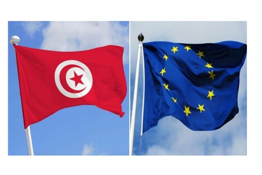 المتحدثة باسم الاتحاد الأوروبي: تونس لم تطلب منّا مراقبة الاستفتاء