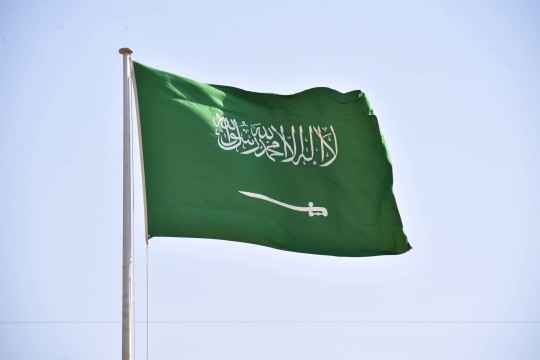 هل تمنع خلافات العائلة الملكية من وصول بن سلمان للعرش في السعودية؟