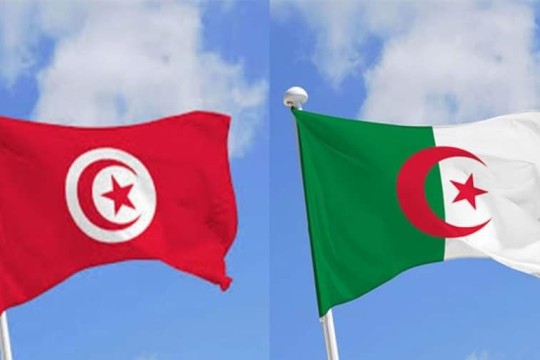 بعد أن قال إن تونس ولاية جزائرية.. برلماني جزائري يعتذر من التونسيين