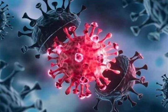 متى يتعافى العالم من فيروس كورونا؟