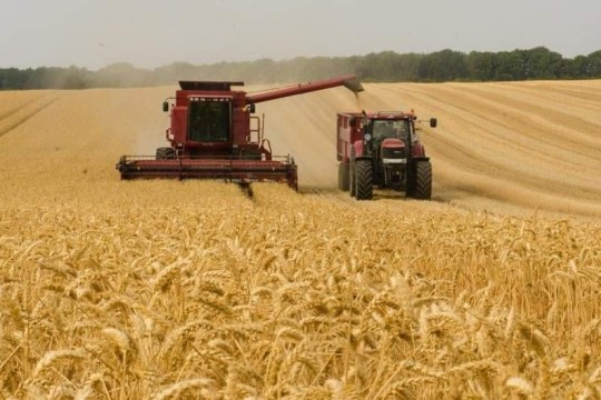 ماهي الدول التي حظرت صادراتها الزراعية؟
