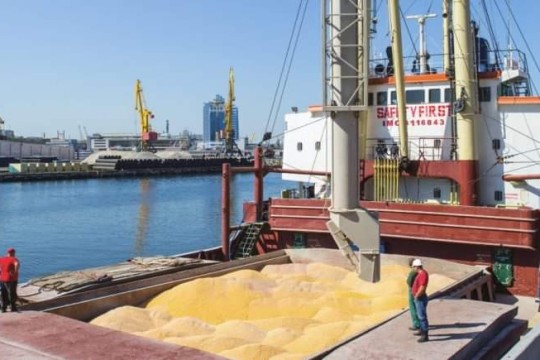 برعاية أممية ووساطة تركية.. اتفاق بين روسيا وأوكرانيا حول تصدير الحبوب