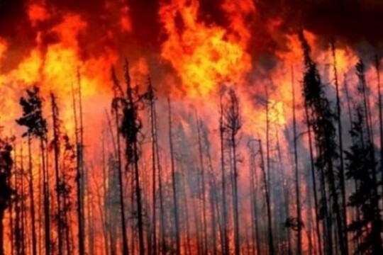 إجلاء آلاف السكان بسبب الحرائق في ولاية مونتانا الأمريكية