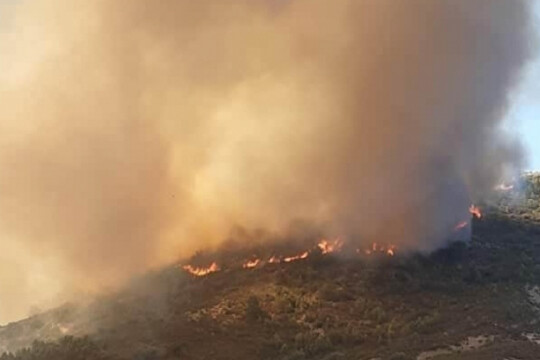 الكاف: توسع الحرائق إلى غابات الطويرف وتضرر المساكن