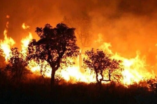 الجزائر.. استشهاد 25 عسكريا في عمليات إنقاذ مواطنين من الحرائق