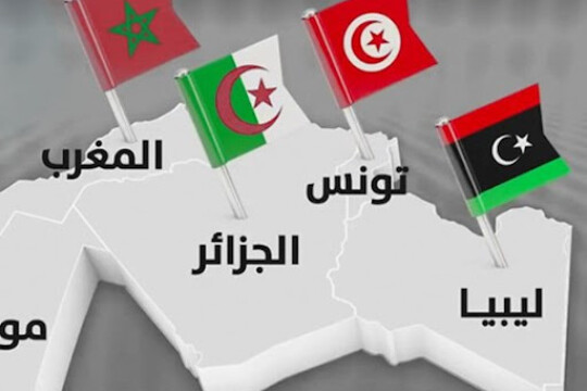 تونس ما بعد 25 جويلية.. أزمات داخلية تنعكس على العلاقة مع دول الجوار