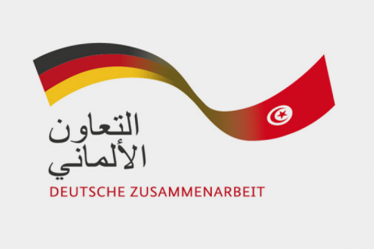لتطوير السياحة المستدامة.. وكالة التعاون الألمانية تموّل 29 مؤسسة فندقية في تونس
