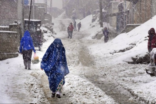 برد الشتاء القارس يُودي بحياة أكثر من 160 أفغانيا