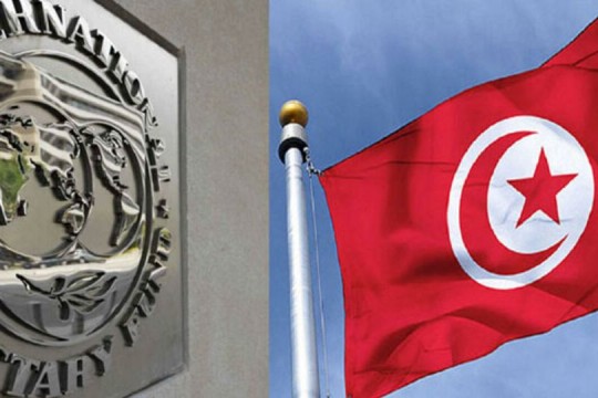 السالمي : صندوق النقد الدولي متوجس من الوضع السياسي في تونس